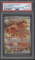 Dachsbun ex Pokemon Stellar Crown Special Illustration Rare #169 PSA 10